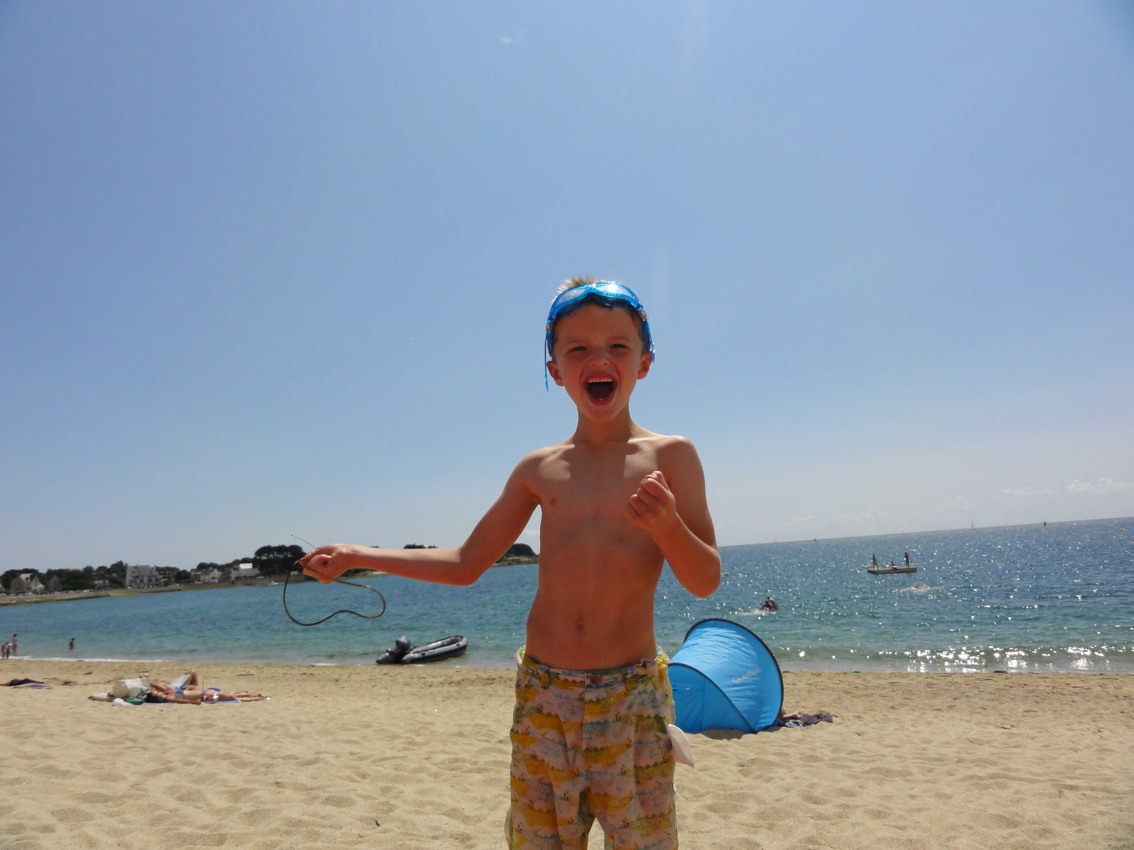 The Daveys: End of Year Round-Up